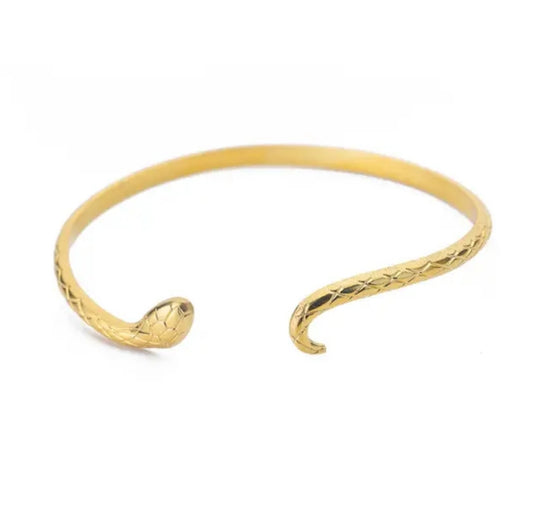 Snake Bracelet