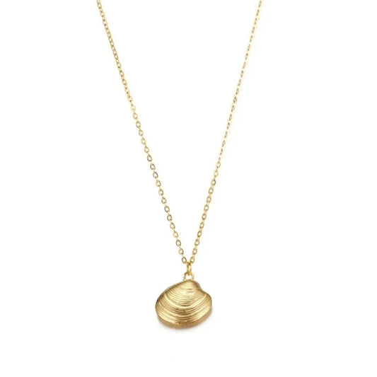 Shell