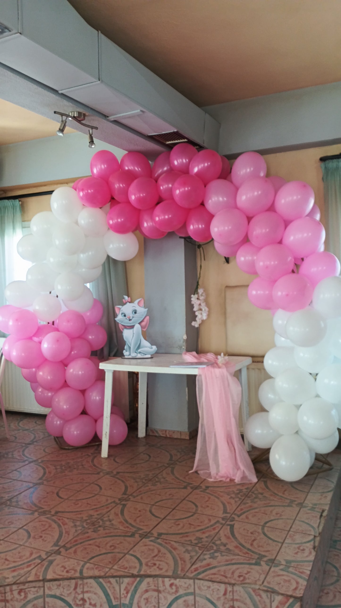 Πάρτυ με θέμα γάτα