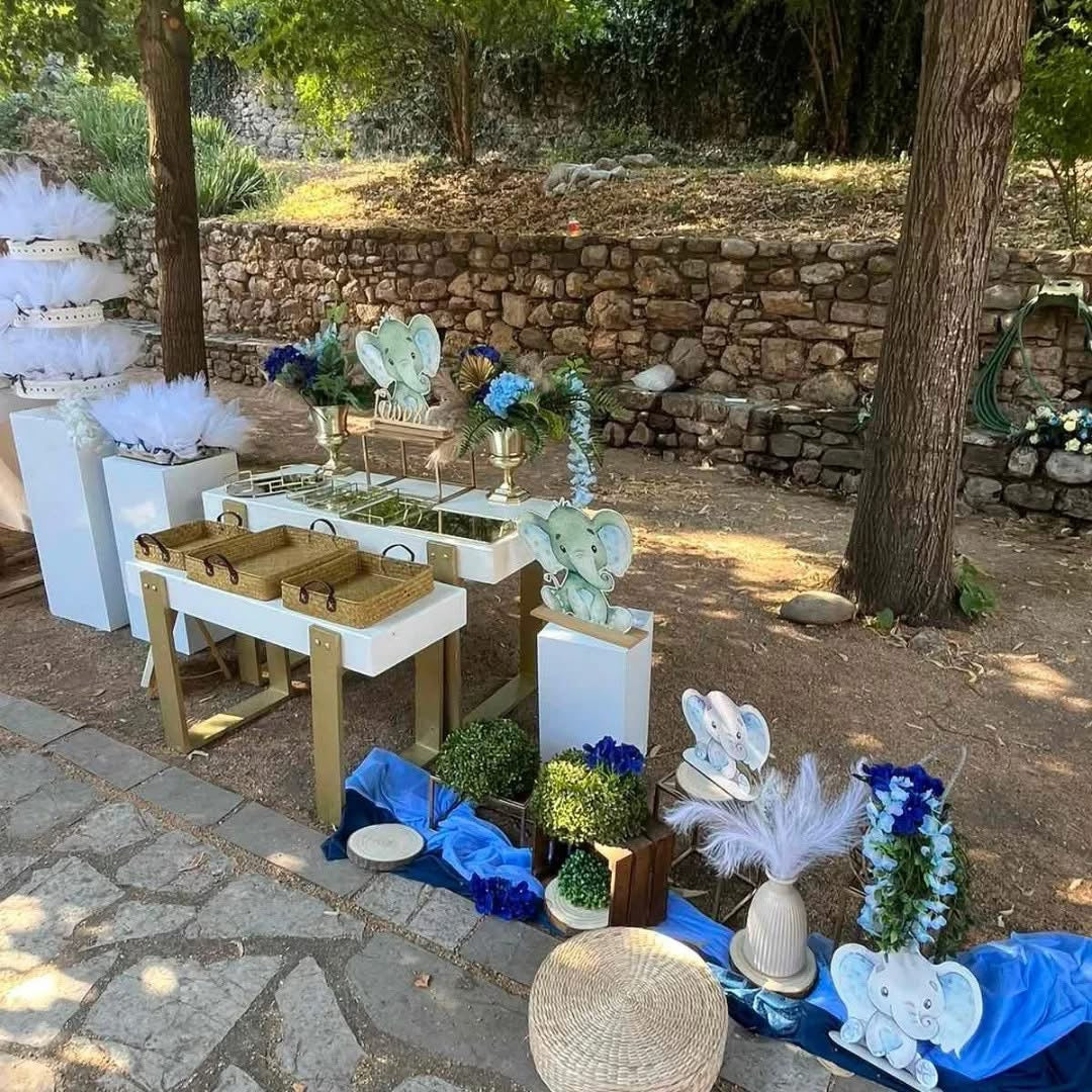 Γάμος και βάπτιση με θέμα Ελεφαντάκι